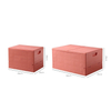Foldable Storage Box - Multiple Sizes And Colors