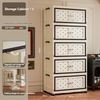 Nordic Transparent Double-Door Storage Wardrobe for Bulk Retail