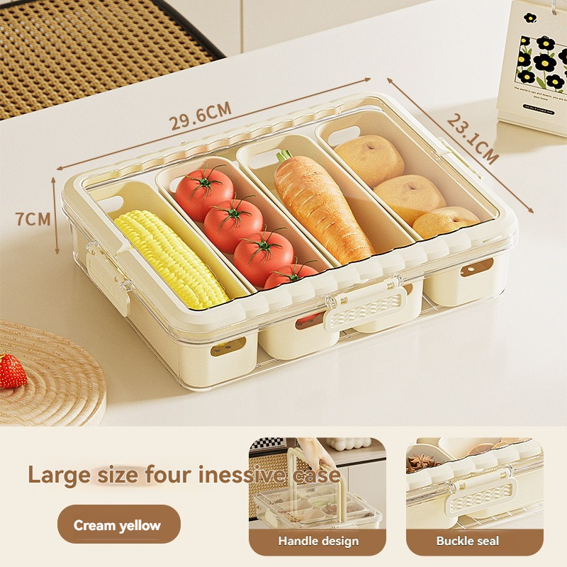Transparent Handheld Storage Box