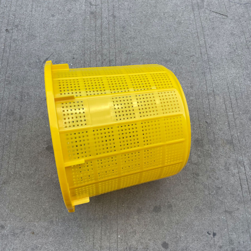Plastic Perforated Fruit Baskets for B2B Procurement