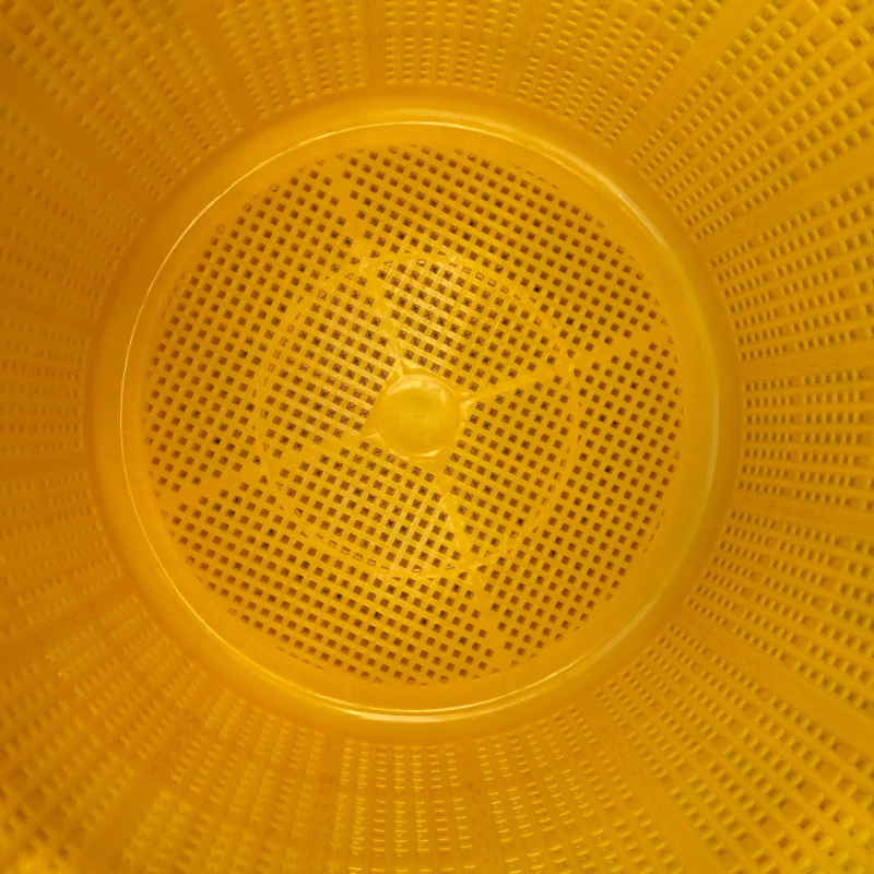 Plastic Perforated Fruit Baskets for B2B Procurement