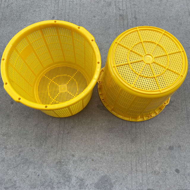 Plastic Perforated Fruit Baskets for B2B Procurement