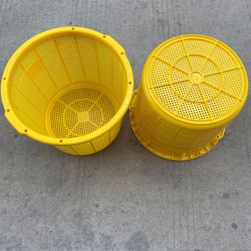 Plastic Perforated Fruit Baskets for B2B Procurement